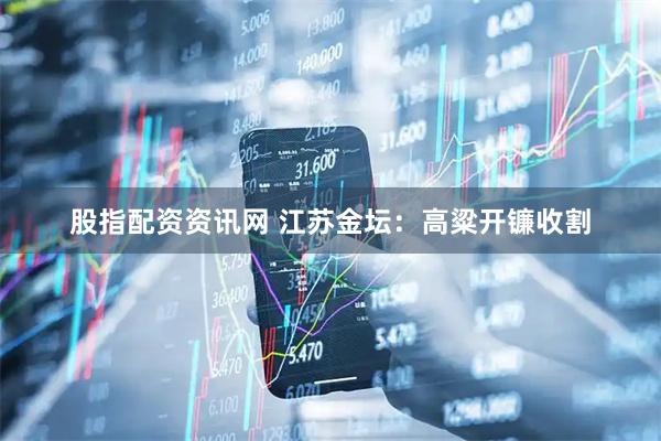 股指配资资讯网 江苏金坛：高粱开镰收割