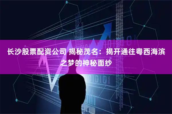 长沙股票配资公司 揭秘茂名：揭开通往粤西海滨之梦的神秘面纱