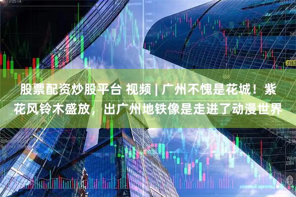 股票配资炒股平台 视频 | 广州不愧是花城！紫花风铃木盛放，出广州地铁像是走进了动漫世界