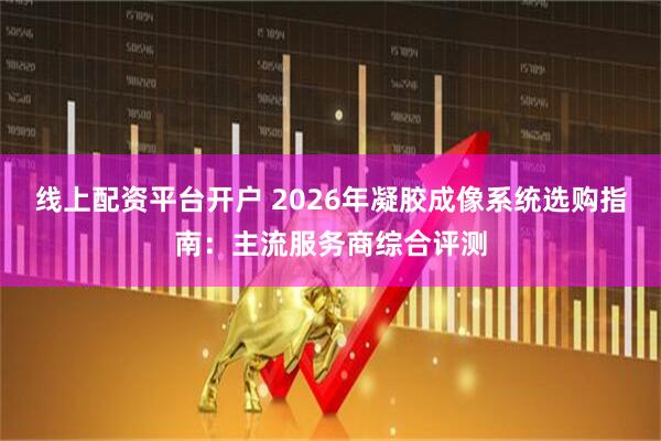 线上配资平台开户 2026年凝胶成像系统选购指南：主流服务商综合评测